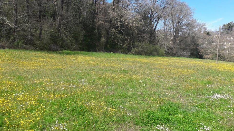 Garden, Garden