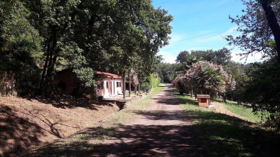View (from property/room), Garden view, Street view