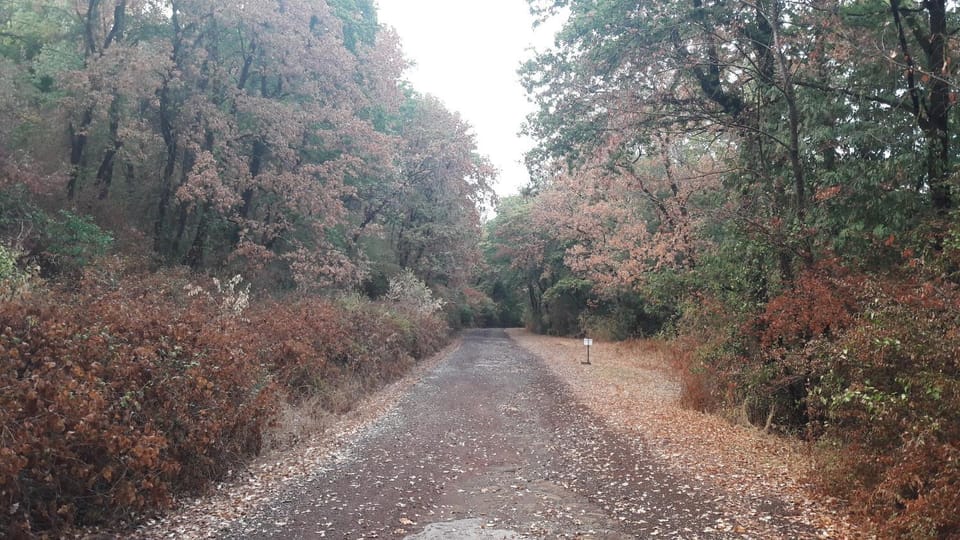 Garden view, Street view