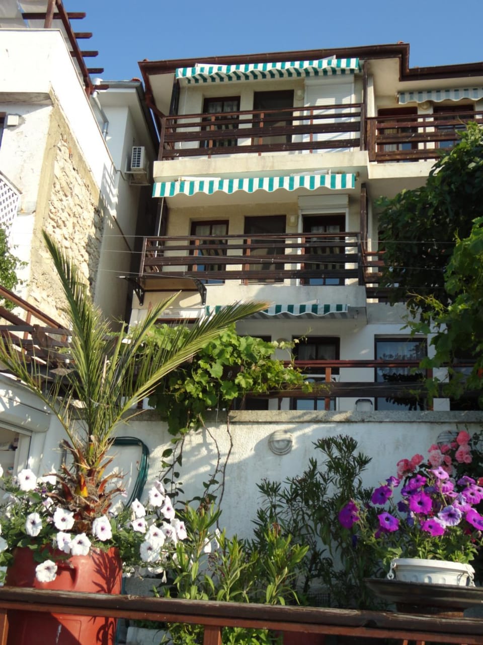 Apartments Anita Apartment in Nessebar