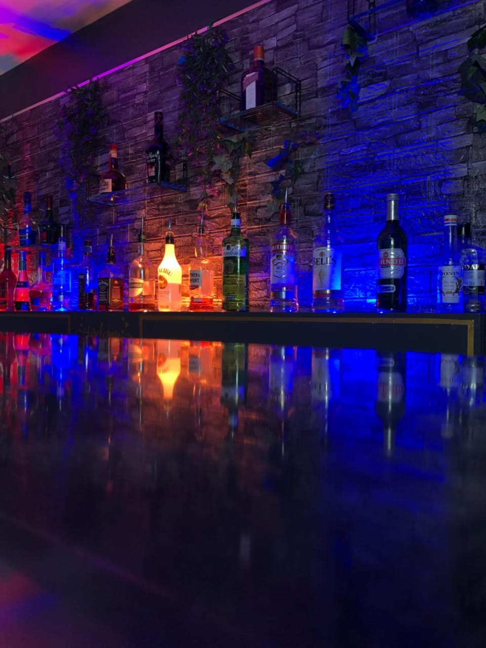 Lounge or bar