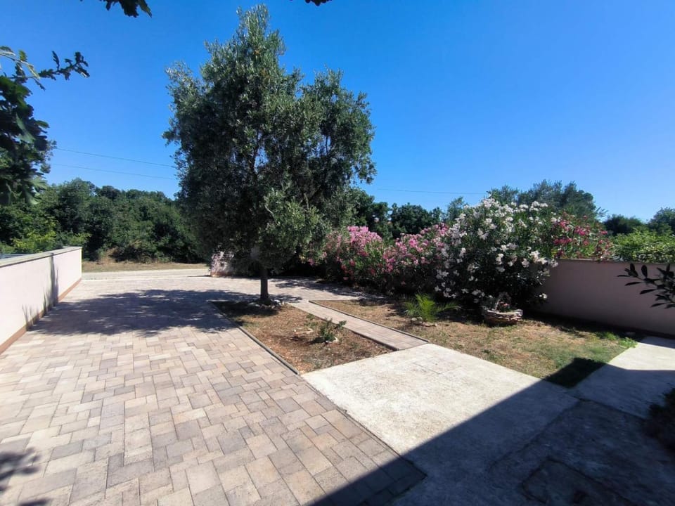 Apartmani Elena Apartment in Medulin