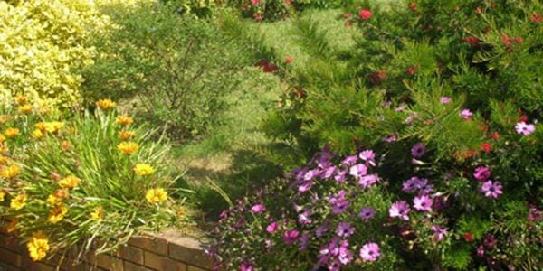 Property building, Natural landscape, Garden, Garden view