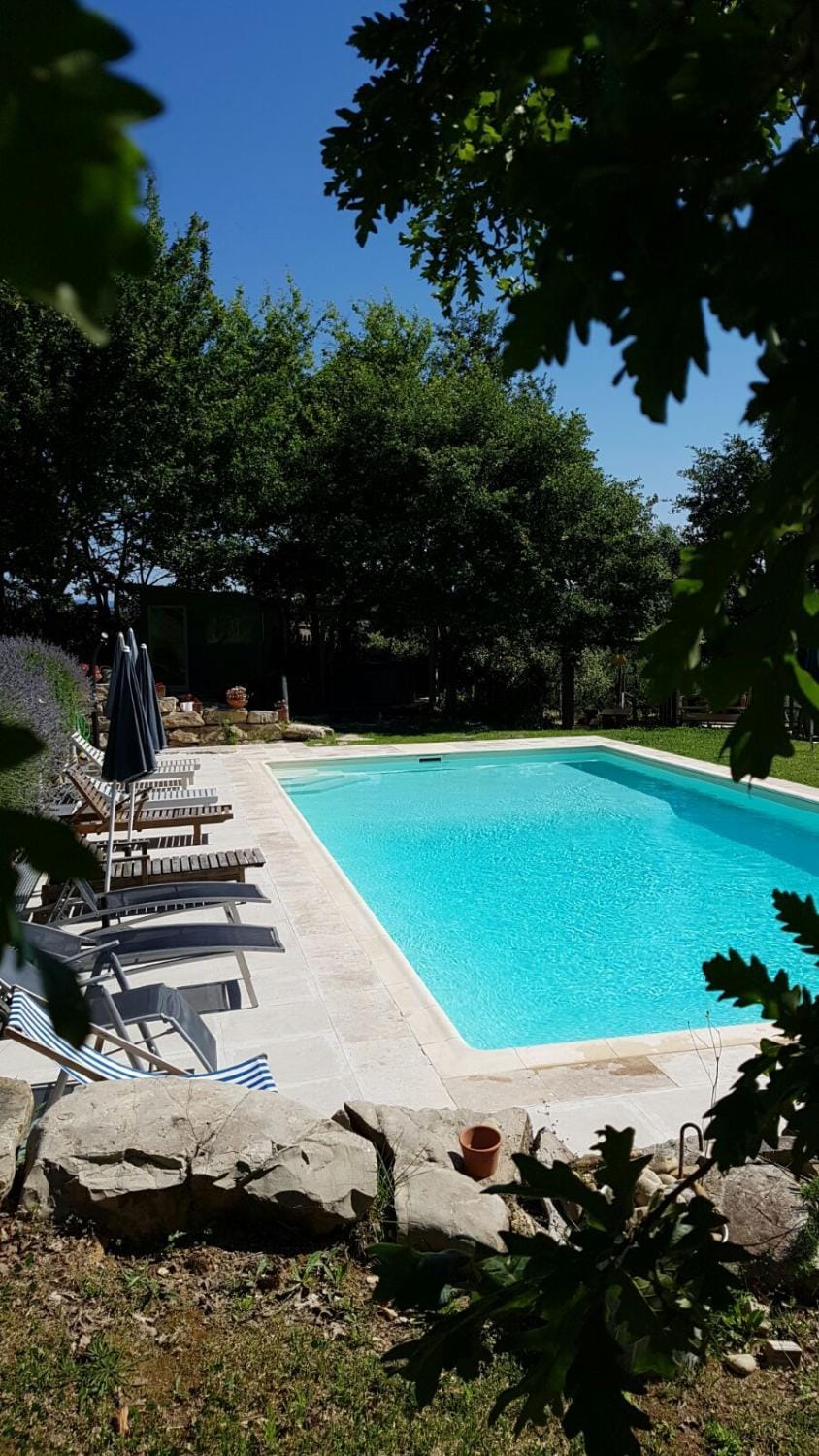 Swimming pool, Swimming pool