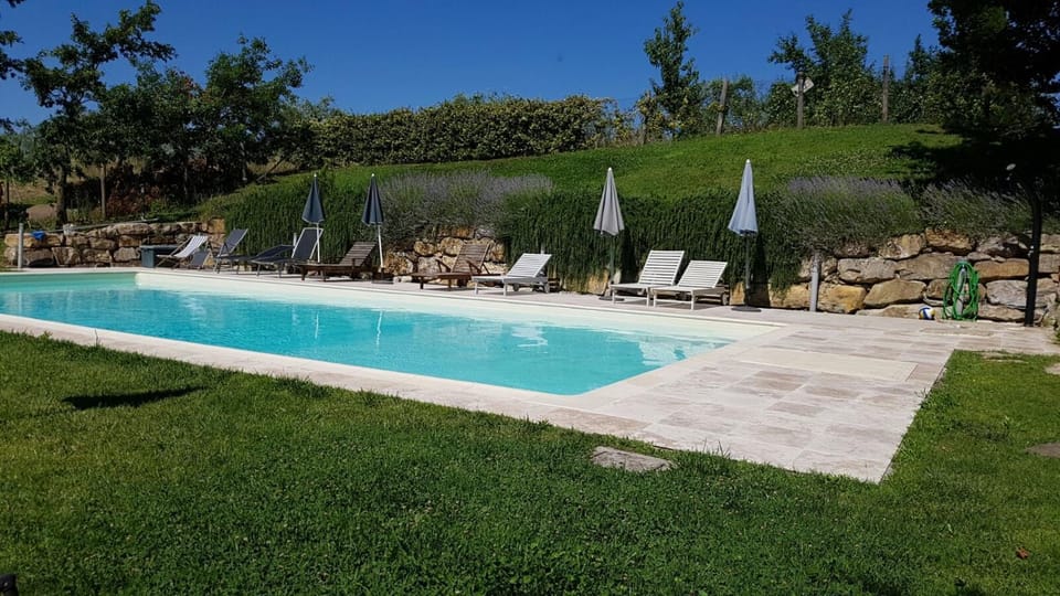 Swimming pool, Swimming pool