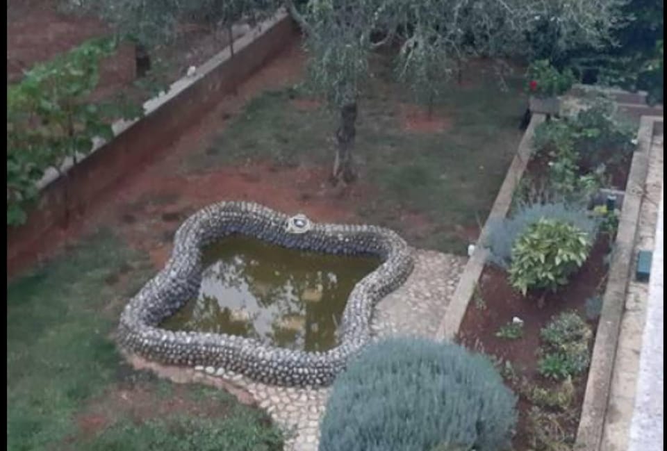 Garden, Animals