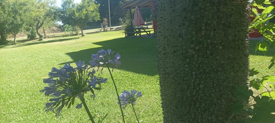 Garden, Garden view