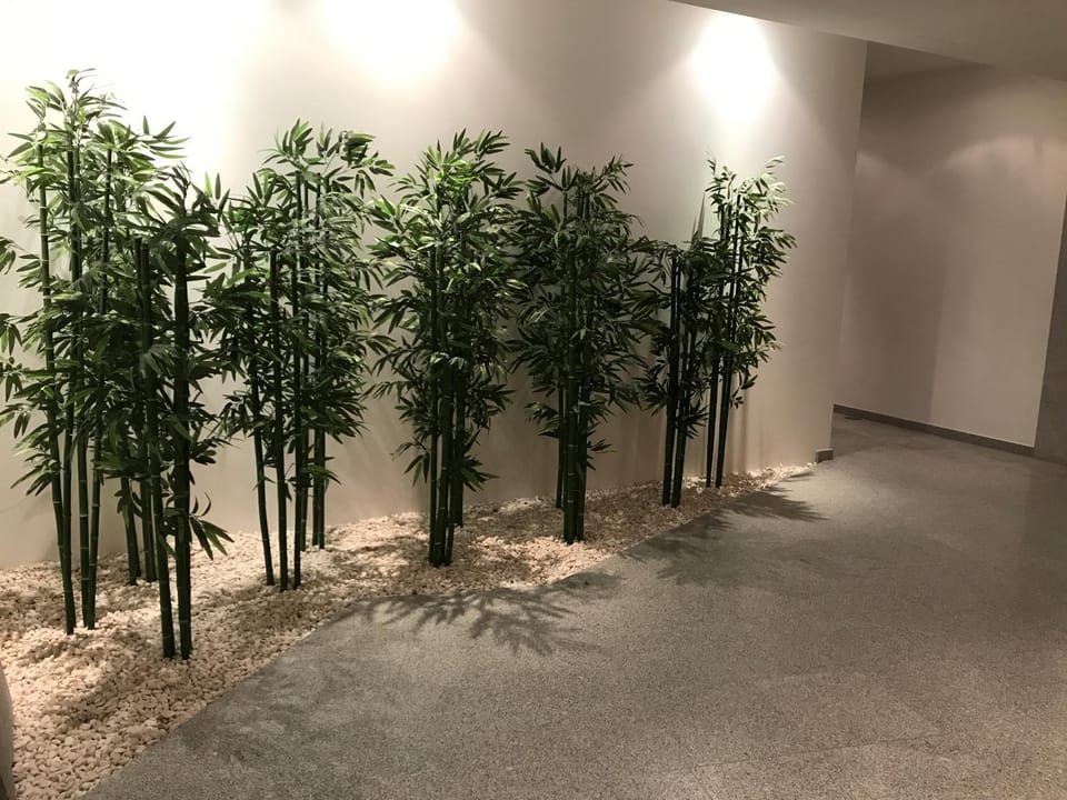 Patio, Lobby or reception