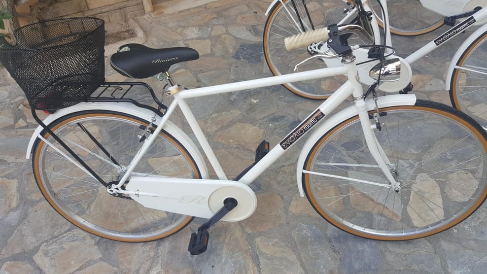 Activities, Cycling, Area and facilities