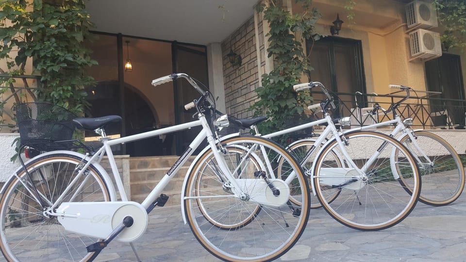 Activities, Cycling, Area and facilities