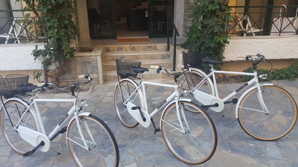 Activities, Cycling, Area and facilities