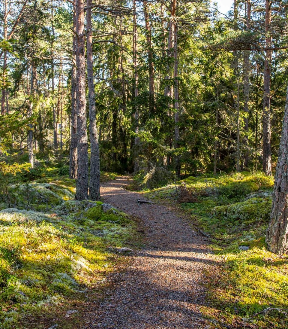 Cafe Alppila Campground/ 
RV Resort in Finland