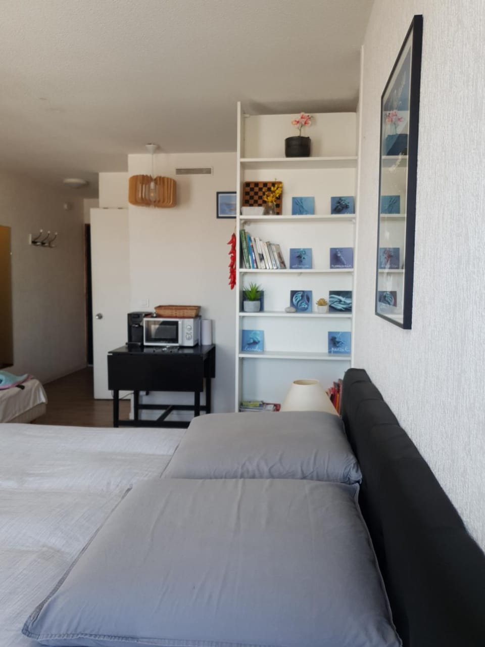 STUDIO Grande Plage de BIARRITZ Apartment in Biarritz