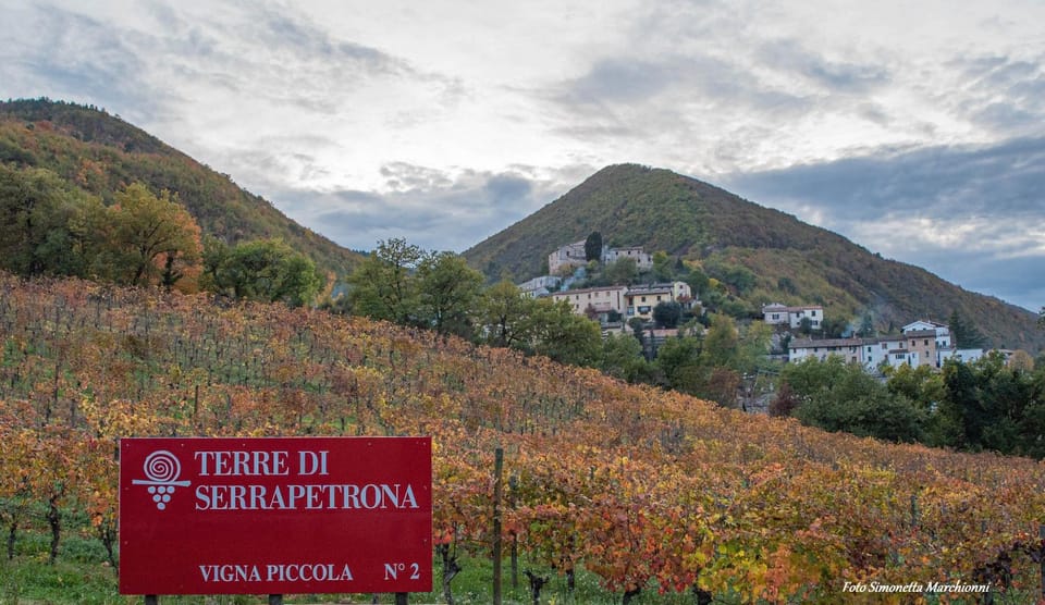Locanda ColDiVino Farm Stay in Umbria