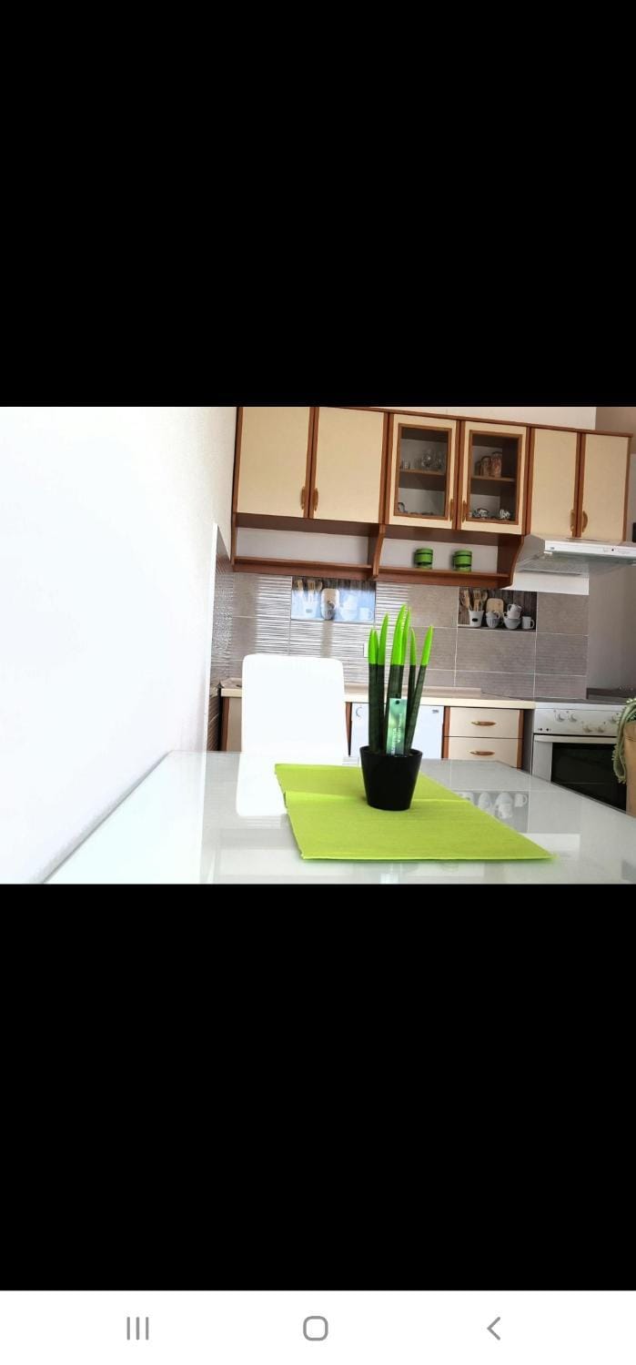 Apartman Milovic Apartment in Kotor Municipality