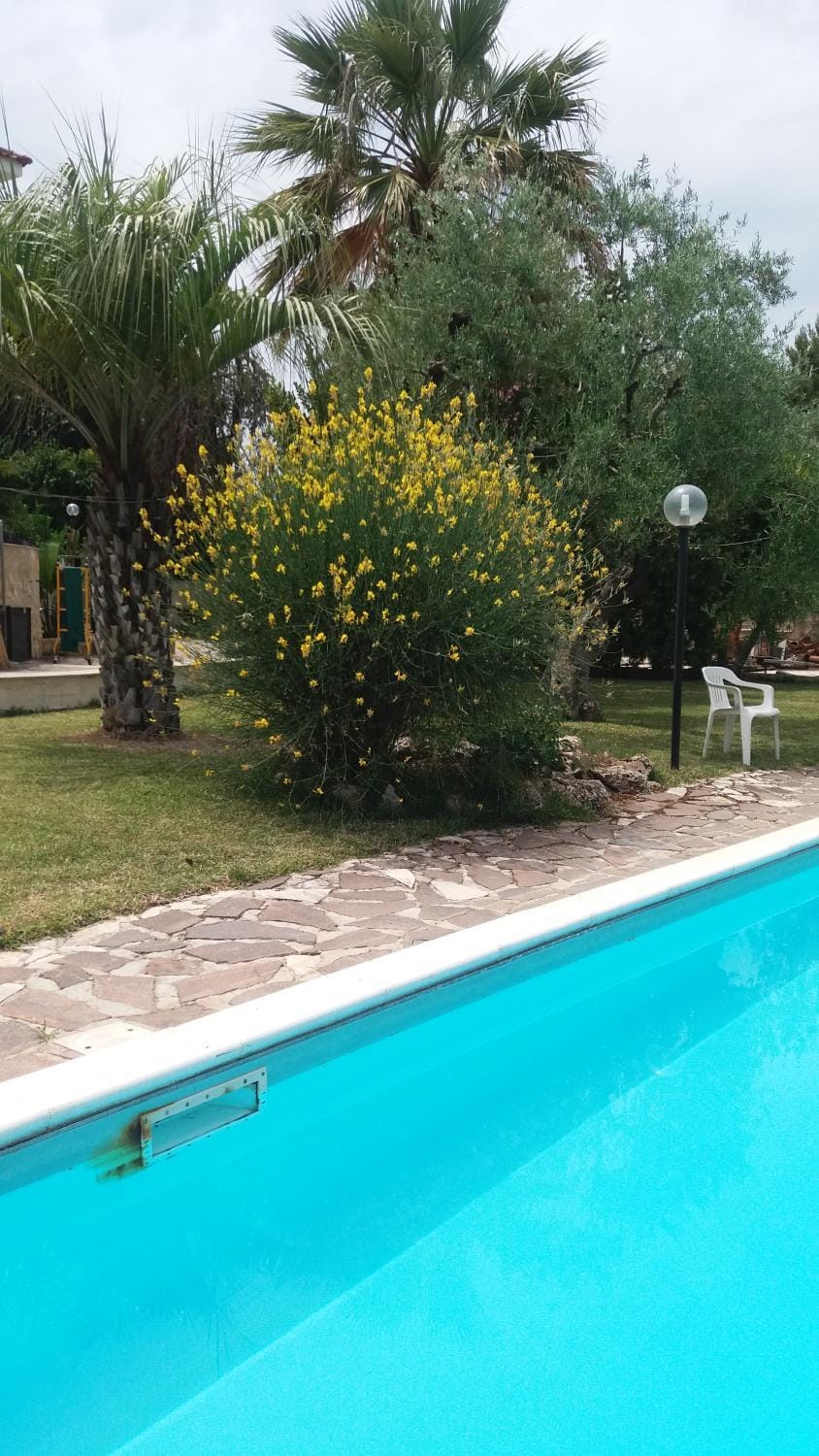 Pool view, Swimming pool, Swimming pool