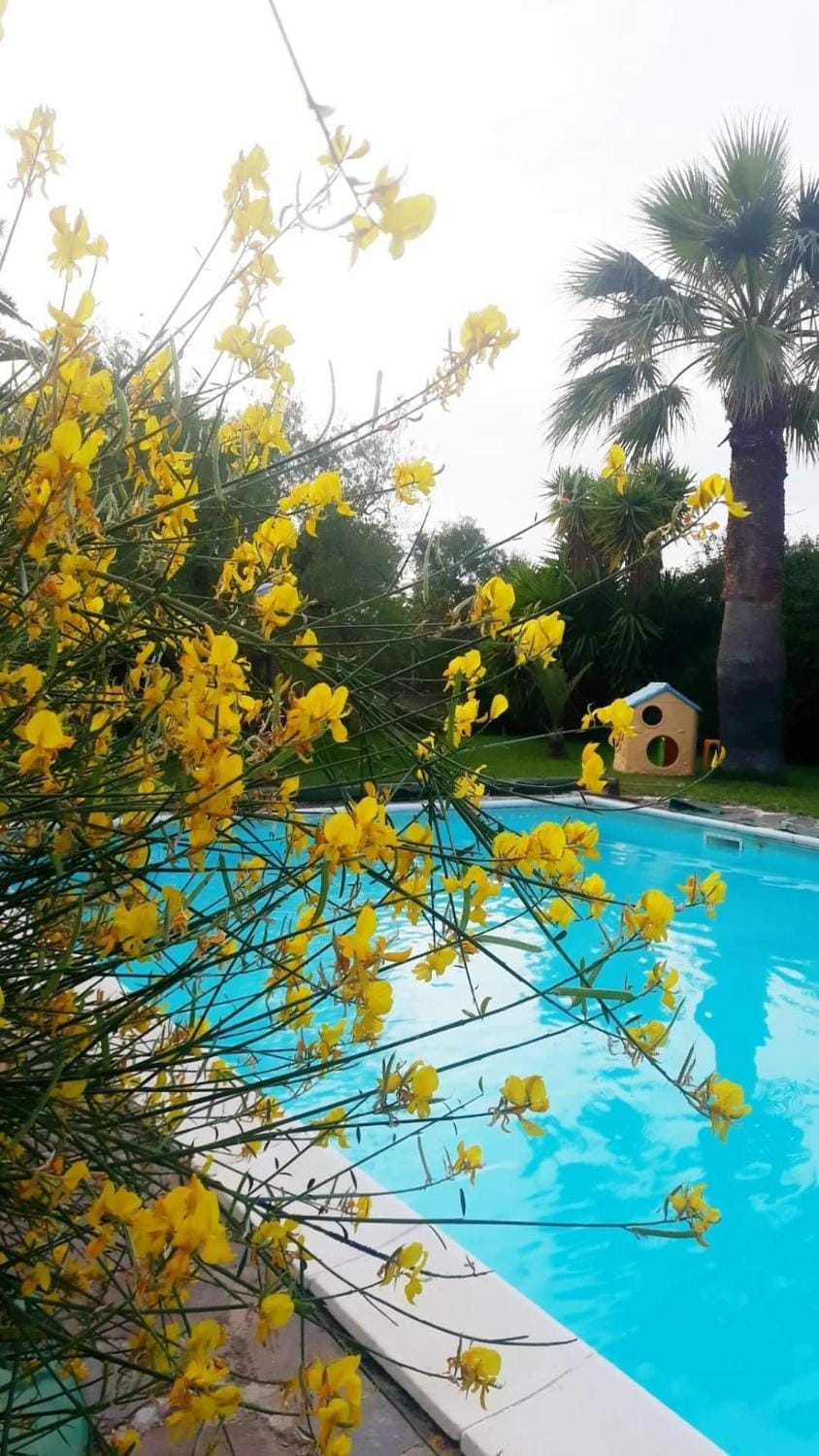 Pool view, Swimming pool, Swimming pool