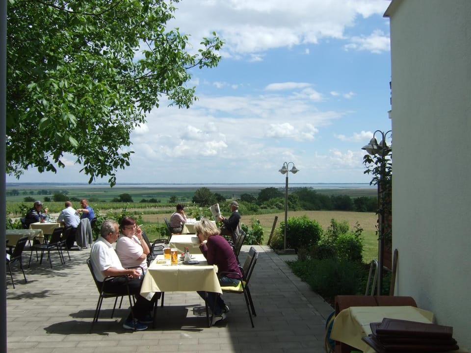 Patio, Day, group of guests