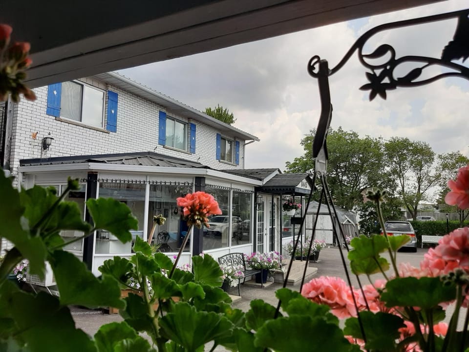 Blue Moon Motel Motel in Niagara Falls