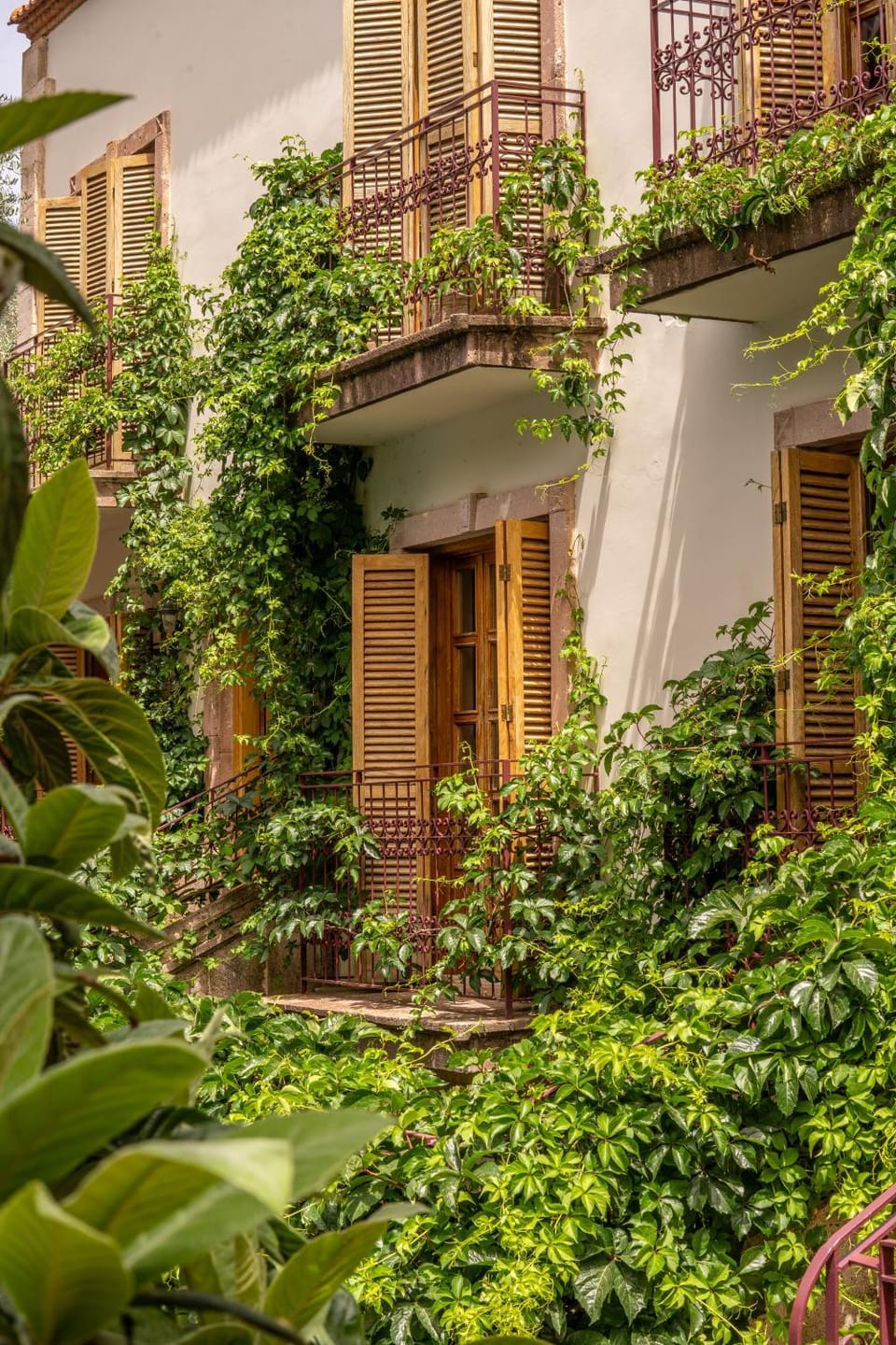 Property building, Natural landscape, Garden, View (from property/room), Garden view