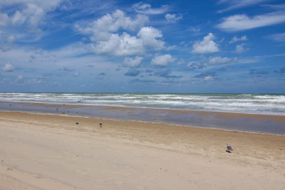 Palm Tree Escape Apartment in South Padre Island