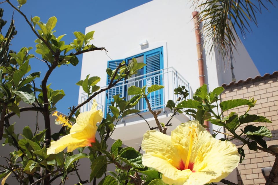 Balcony/Terrace, Garden view