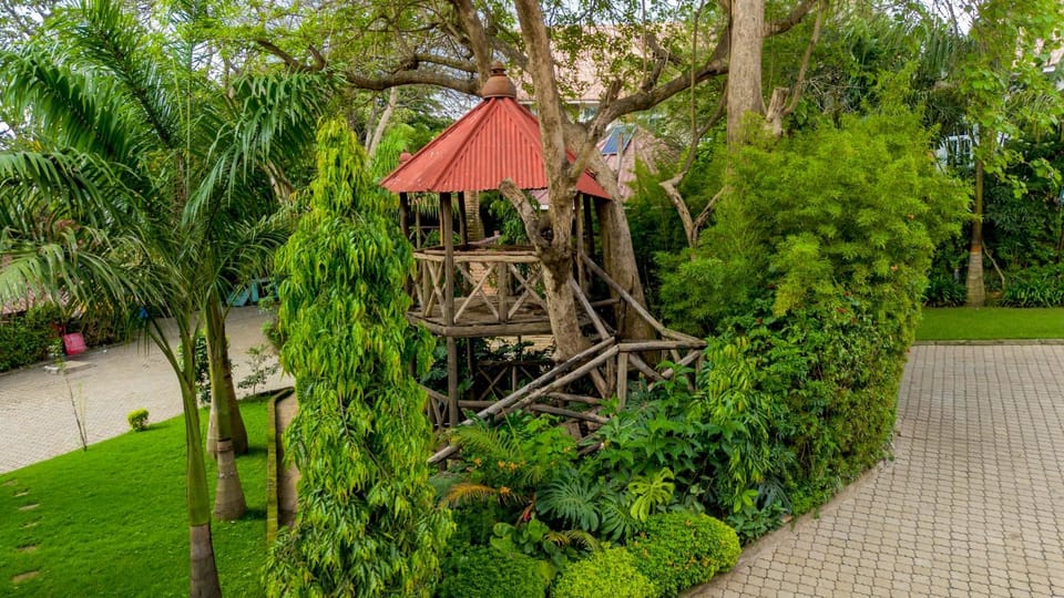 Natural landscape, Garden, Garden view