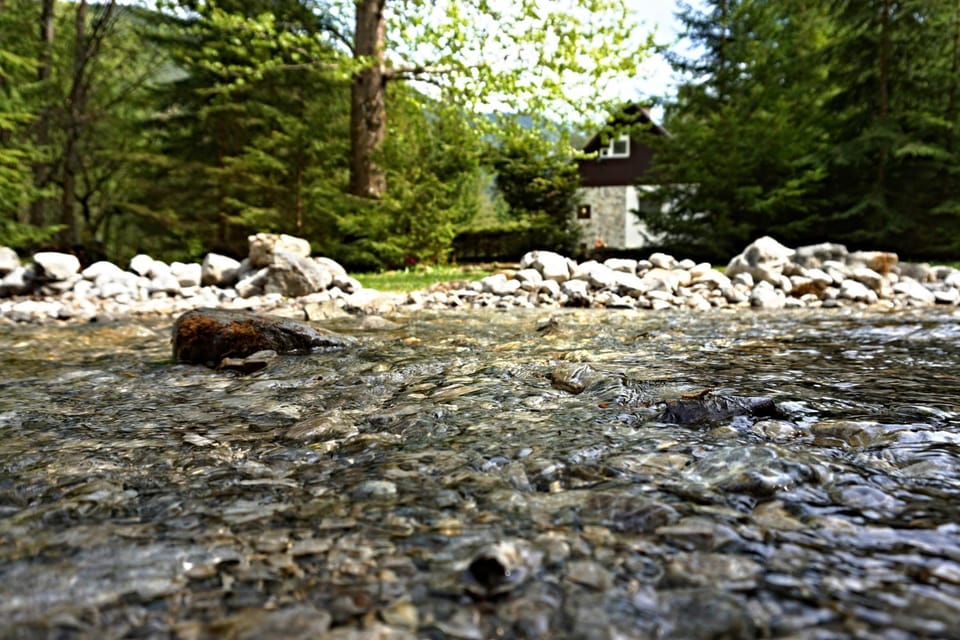 Natural landscape