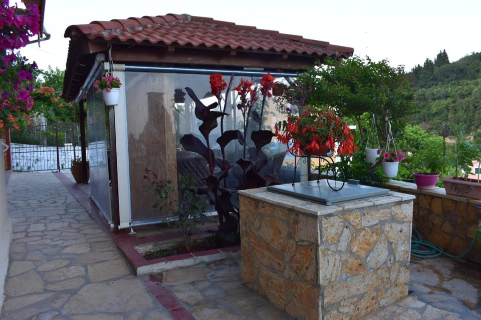 Property building, Patio