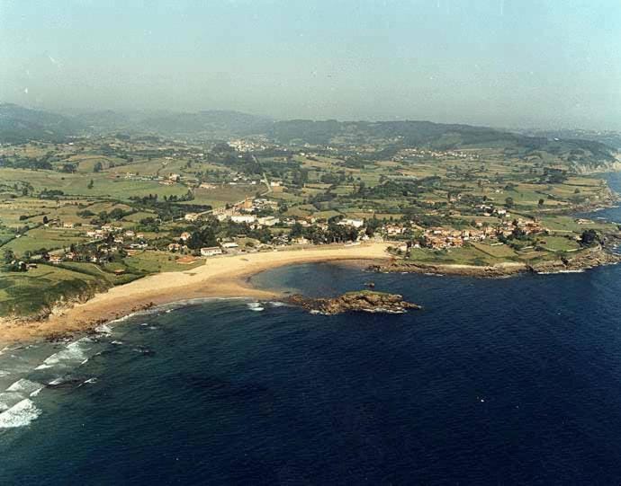 Area and facilities