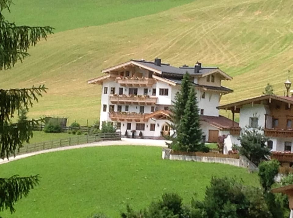 Property building, On site