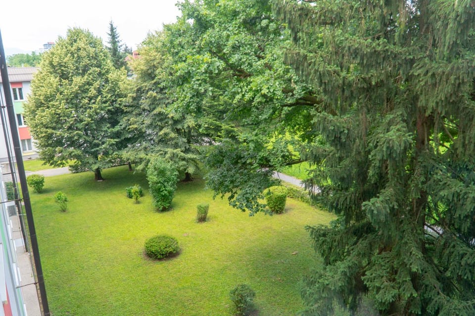 Day, Garden, Garden view