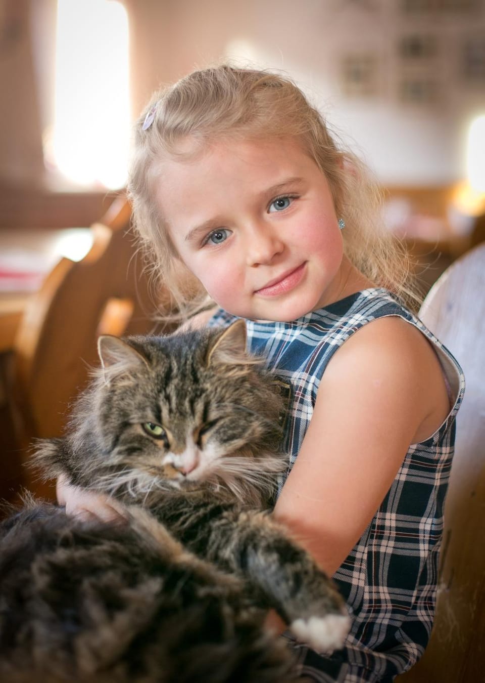 Pets, Pets
