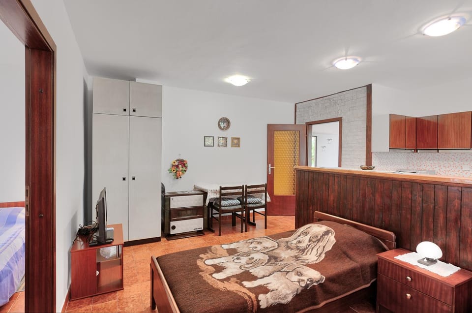 Kitchen or kitchenette, Dining area, Bedroom