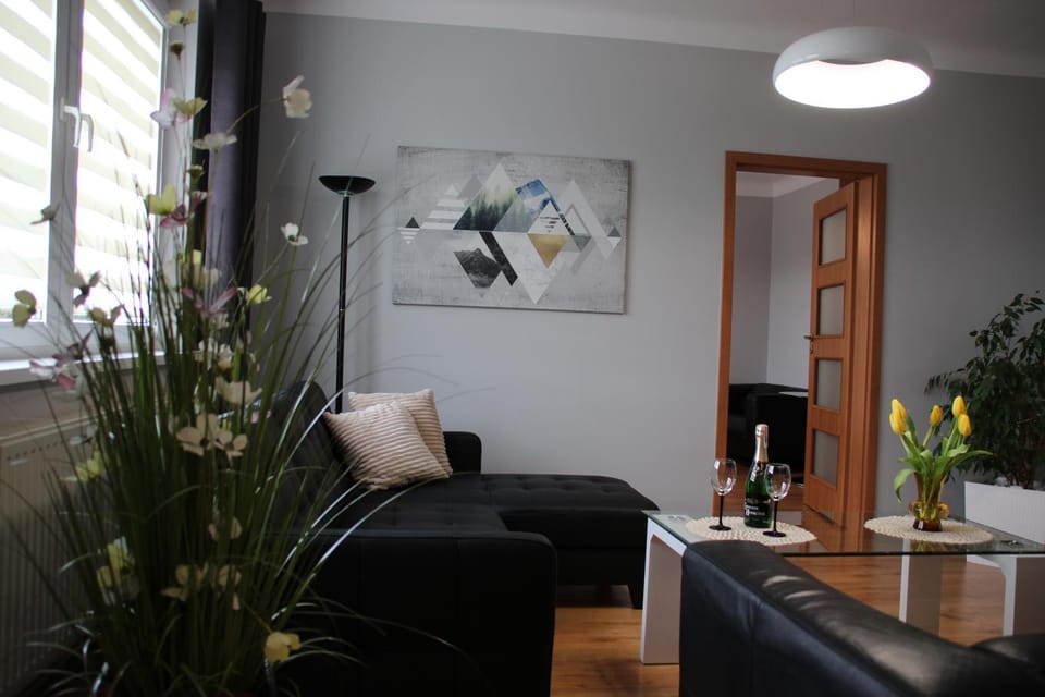 Apartament Ania Apartment in Lower Silesian Voivodeship