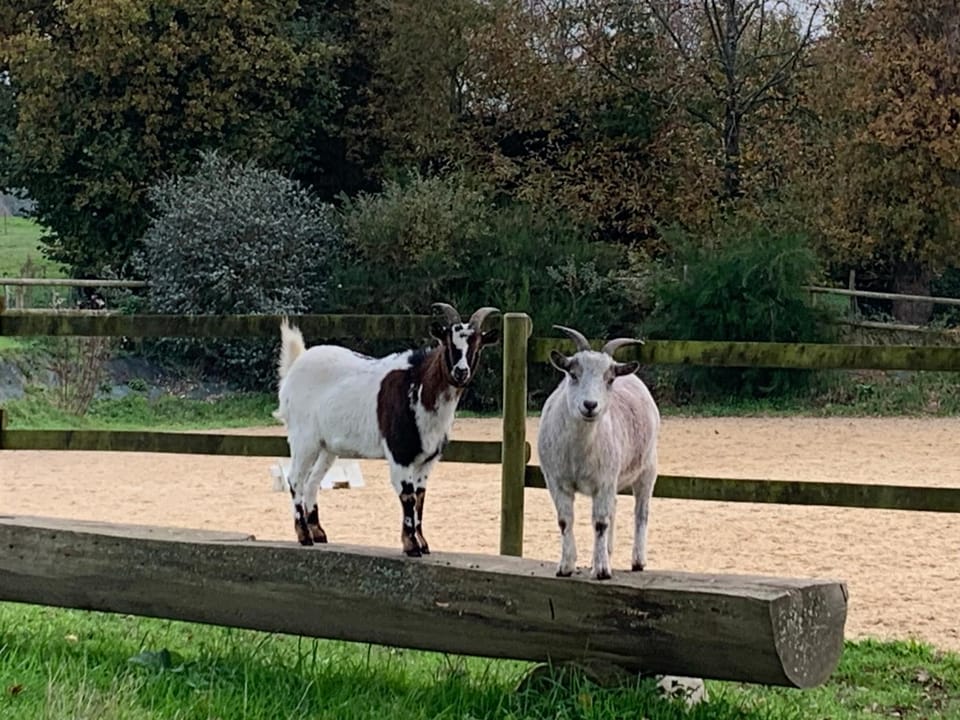 Domaine Uraveni Bed and Breakfast in Brittany