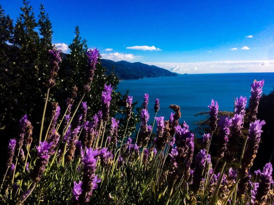Day, Natural landscape, Sea view