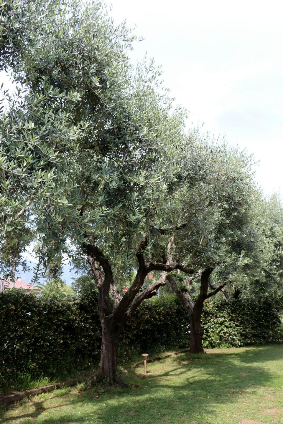 Facade/entrance, Garden, Garden view