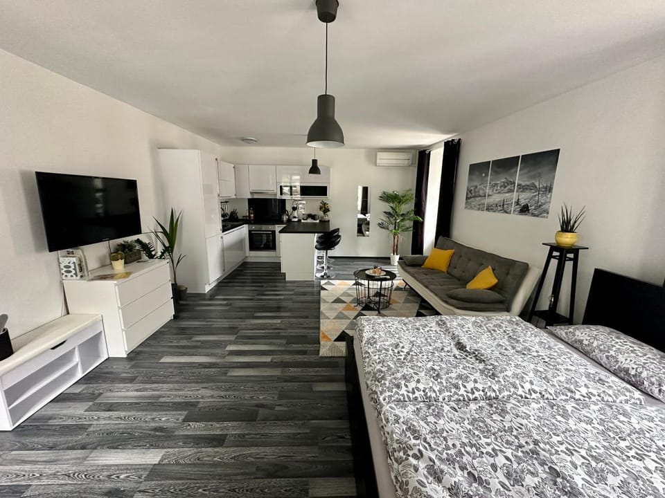 Bed, TV and multimedia, Kitchen or kitchenette, Living room, Photo of the whole room, Seating area, Bedroom