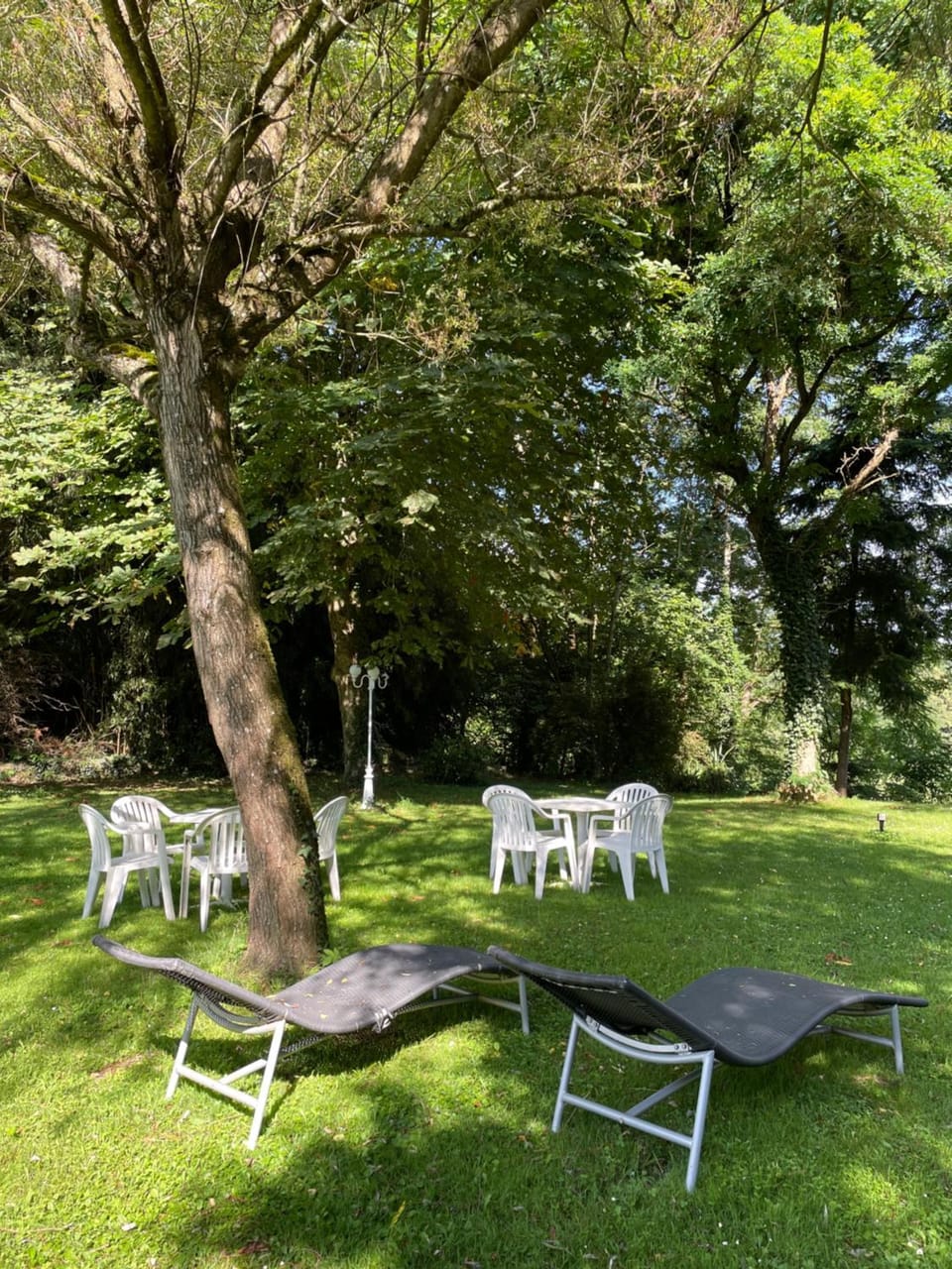 Patio, Garden