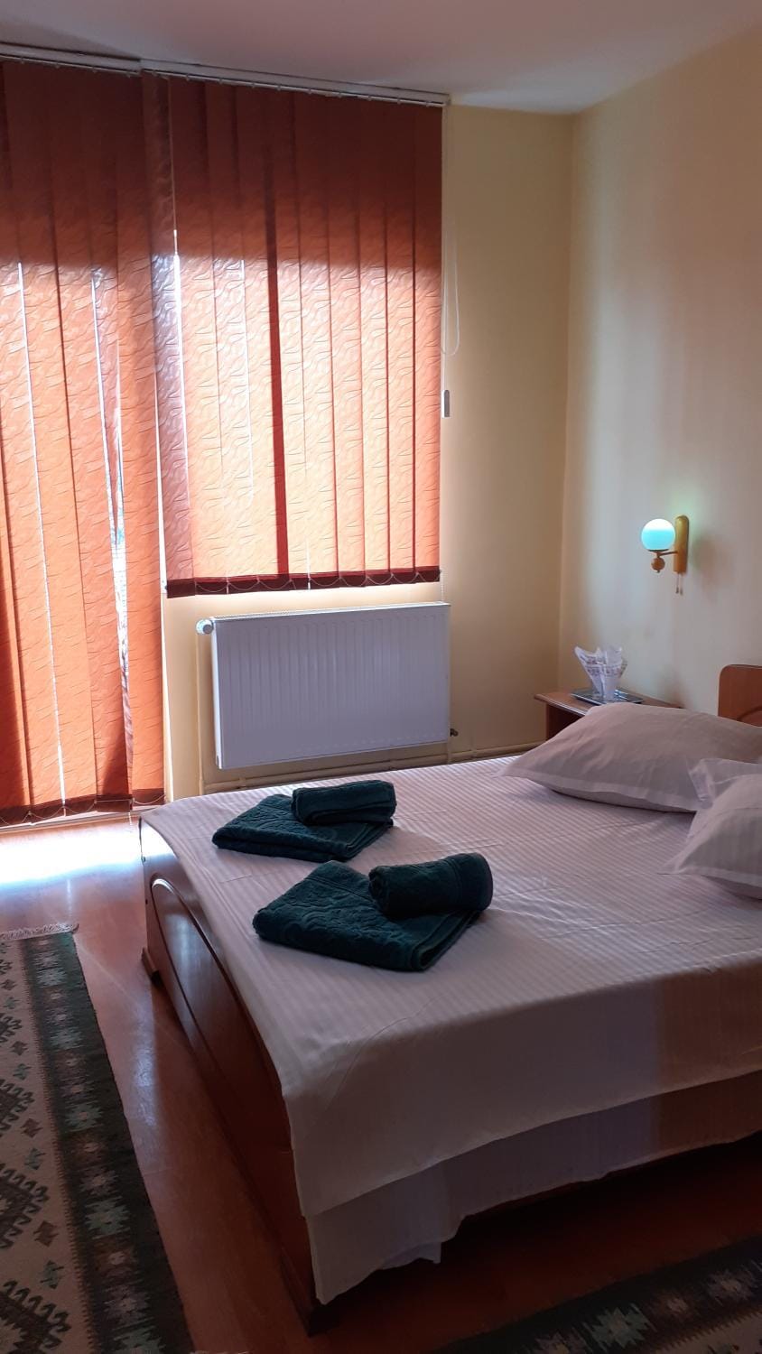 Pensiunea Casa Popan Bed and Breakfast in Romania