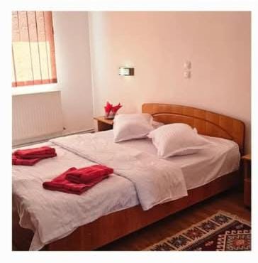 Pensiunea Casa Popan Bed and Breakfast in Romania