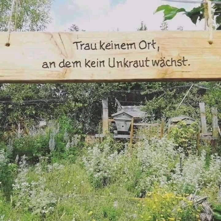 Pension Katharina Frühstück ab 5 Uhr früh Bed and Breakfast in Carinthia, Austria
