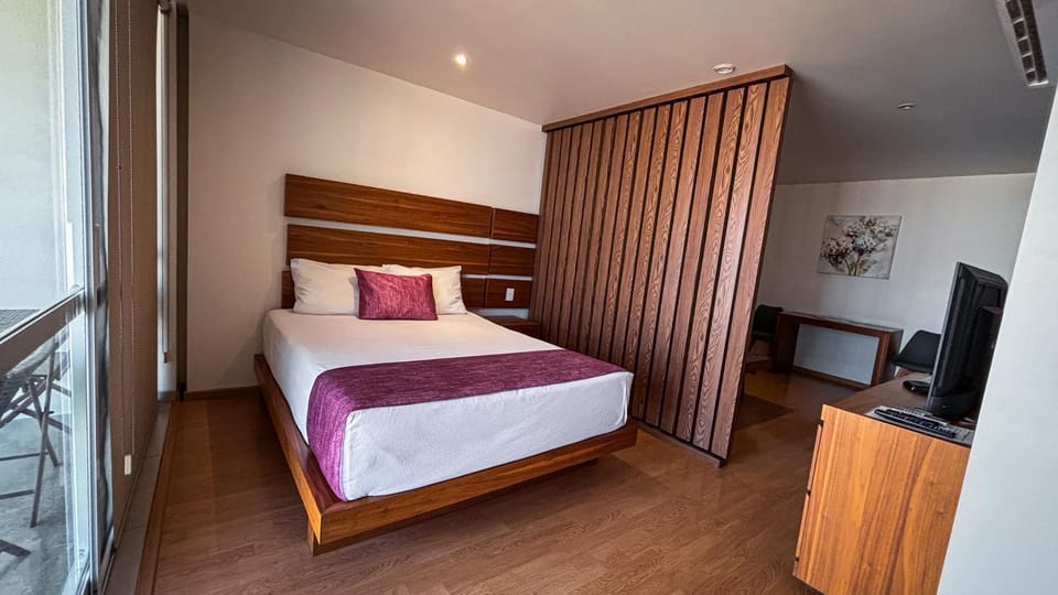 Millenium Plaza & Suites Apartment hotel in San Luis Potosi