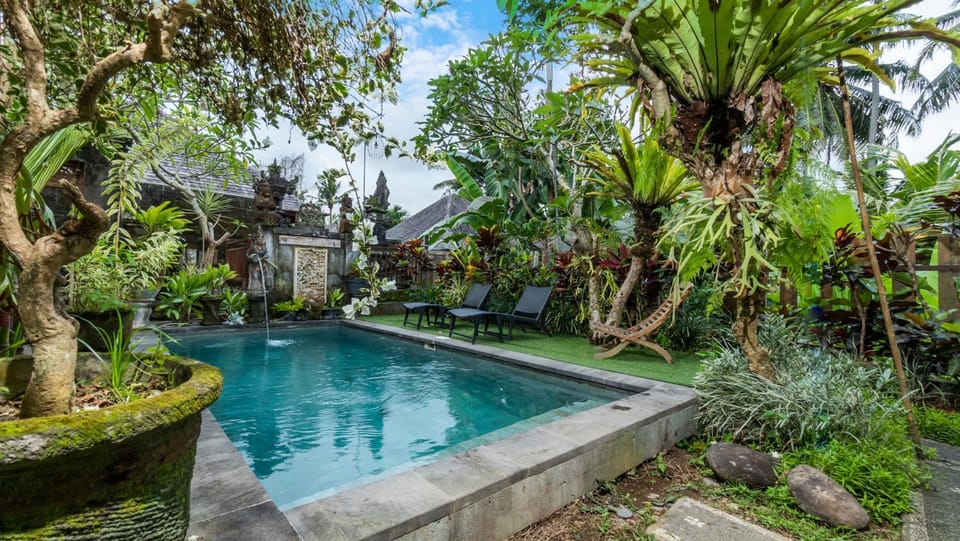 Garden, Garden view, Pool view, Swimming pool