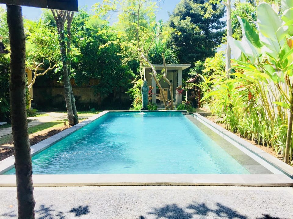 Pool view, Swimming pool