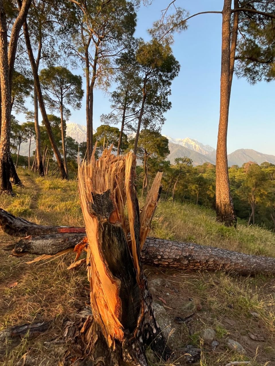 Natural landscape, Other, Mountain view