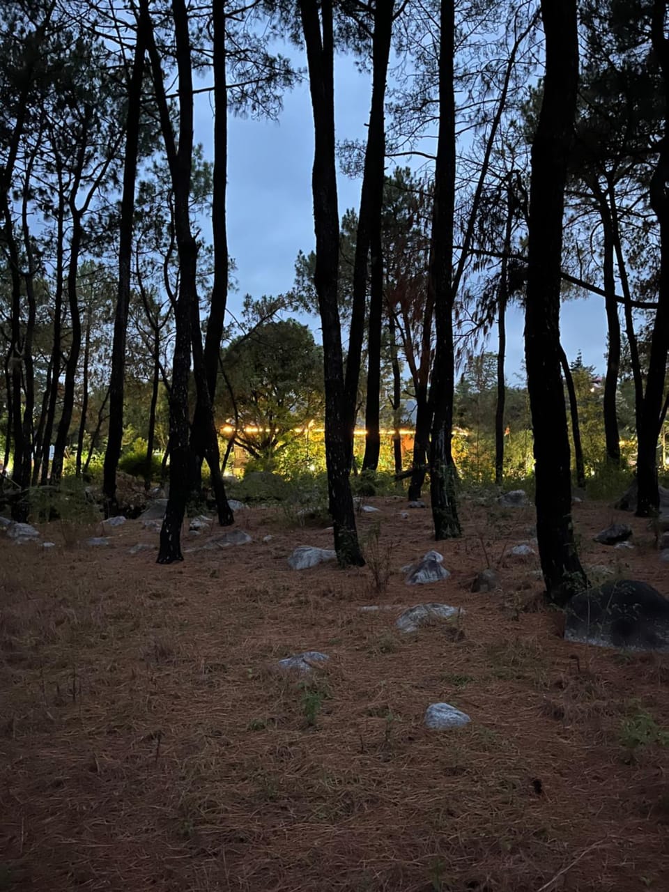 Property building, Natural landscape