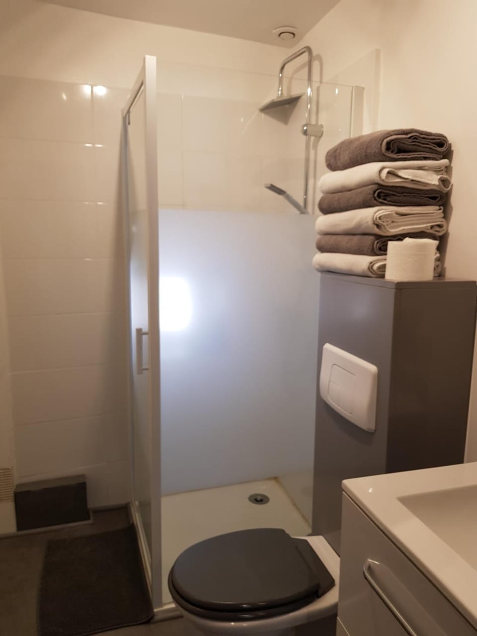 Shower, Toilet, Bathroom, towels