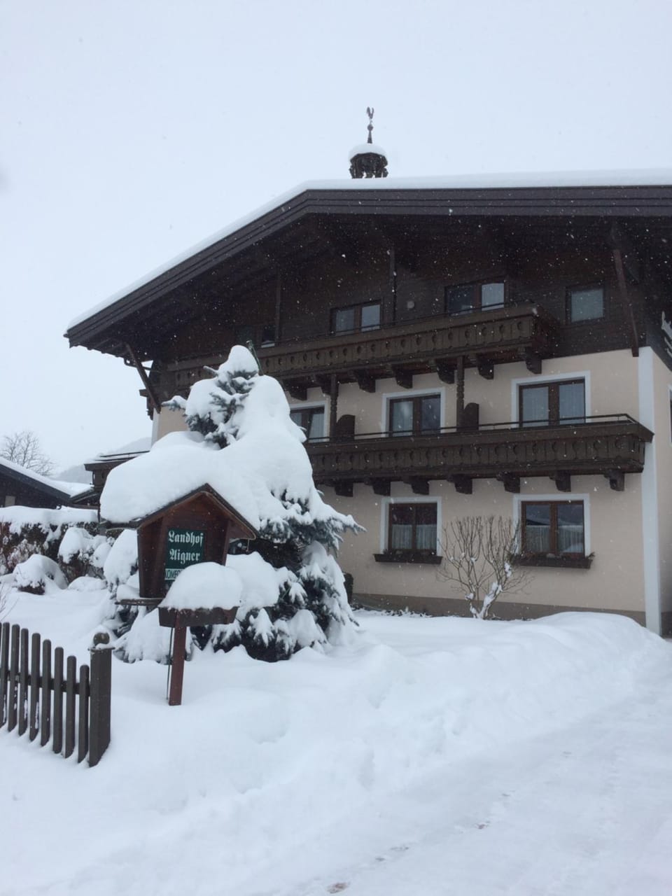 Property building, Winter